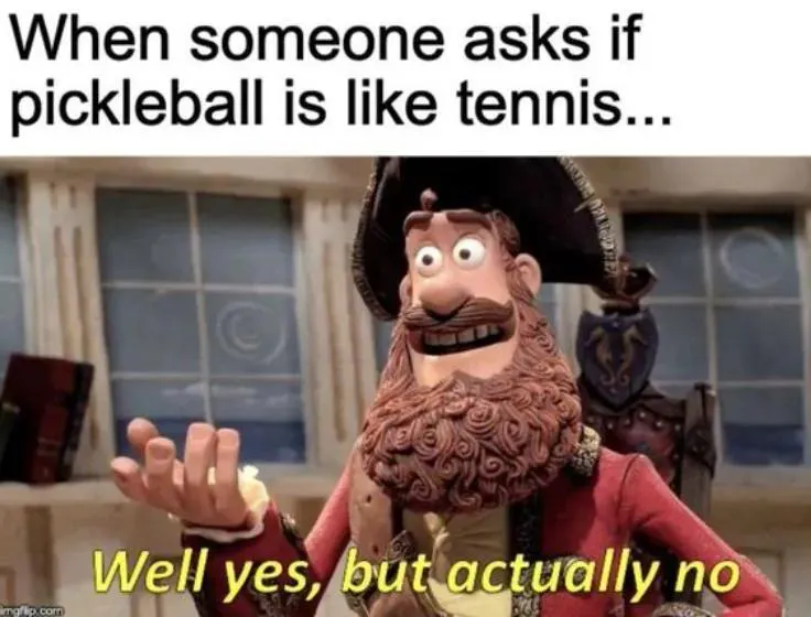 pickleball-meme-11