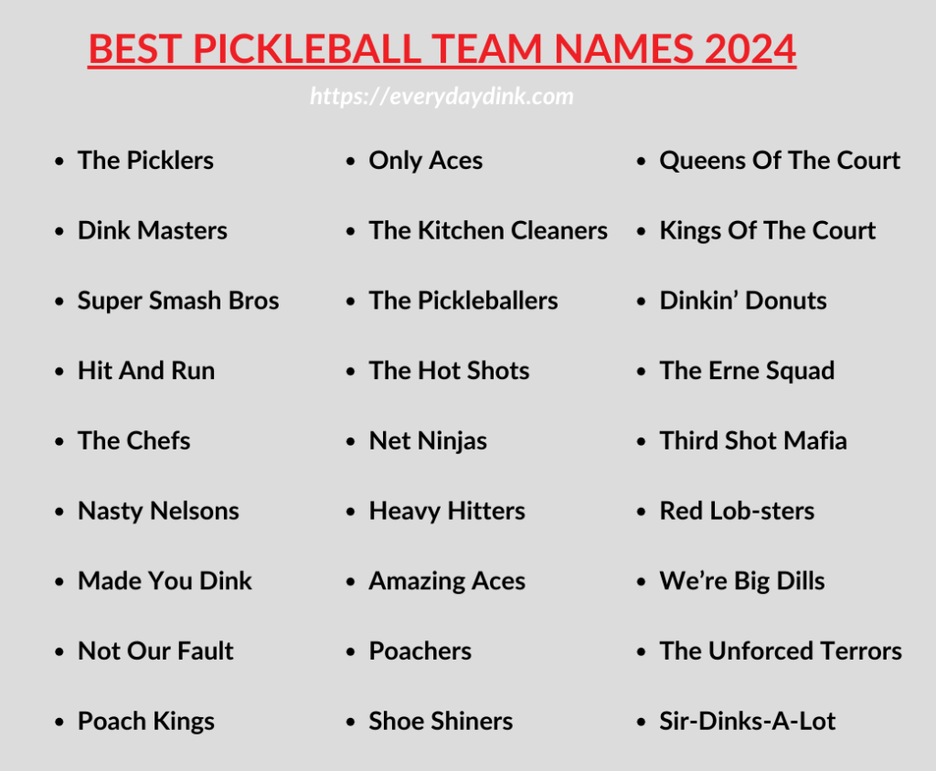 40+ Best Pickleball Team Names In 2024