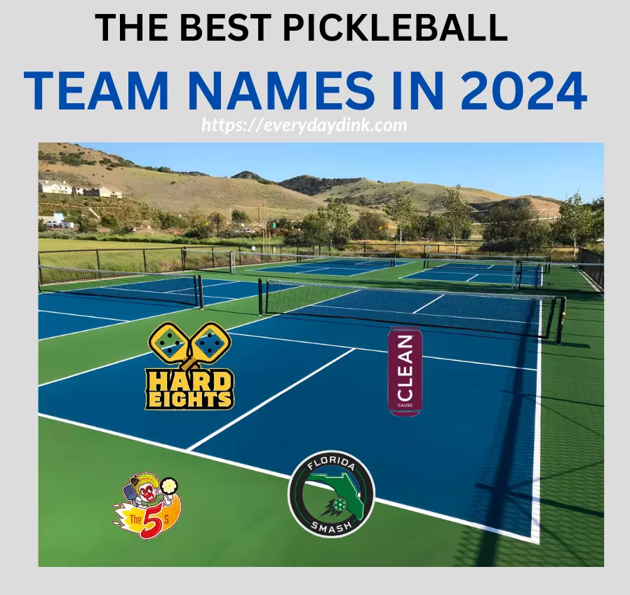 40+ Best Pickleball Team Names In 2024